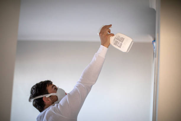 Attic Mold Removal in Norcross, GA