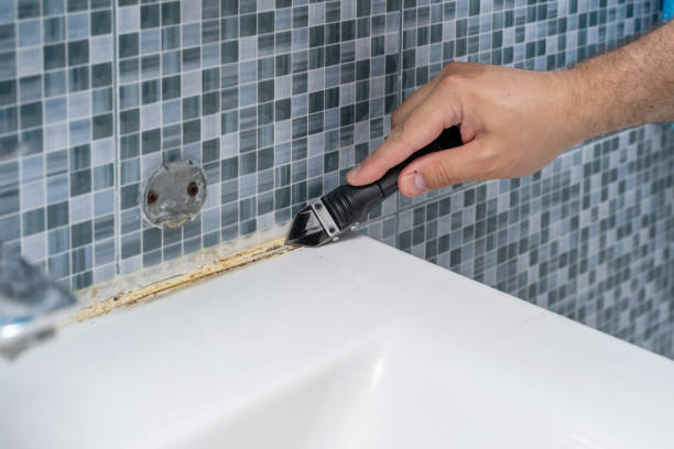 Mold Testing and Removal in Norcross, GA