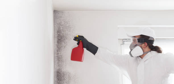 Best Mold Testing and Removal  in Norcross, GA