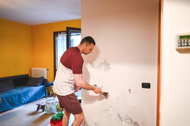 Best Fast Mold Removal  in Norcross, GA