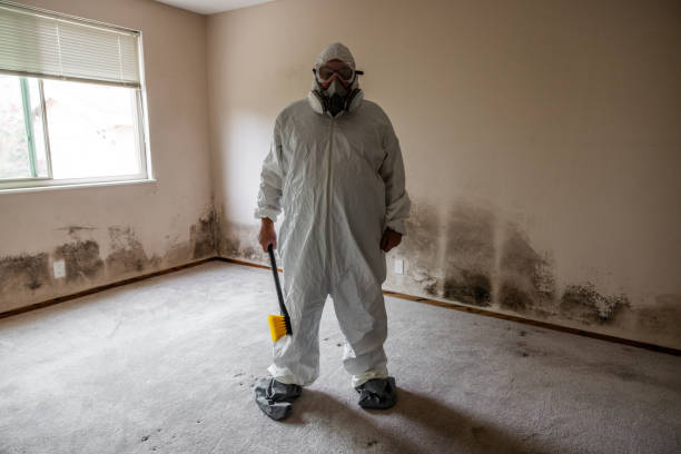Best Commercial Mold Removal  in Norcross, GA